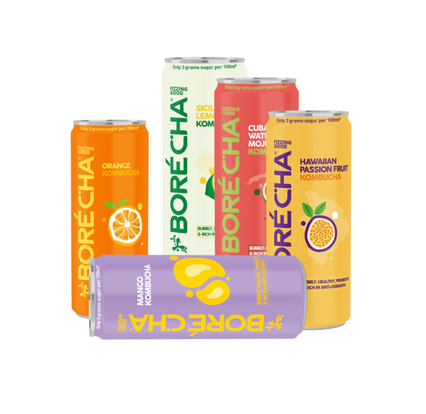 Probiotic Kombucha Pack of 5