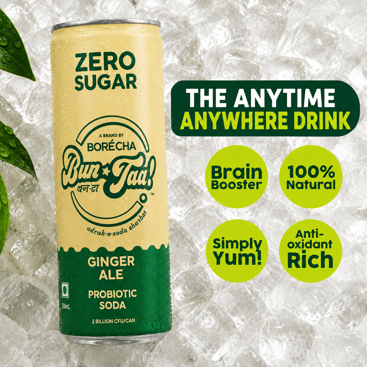 Bun-Taa! Zero Sugar Ginger Ale