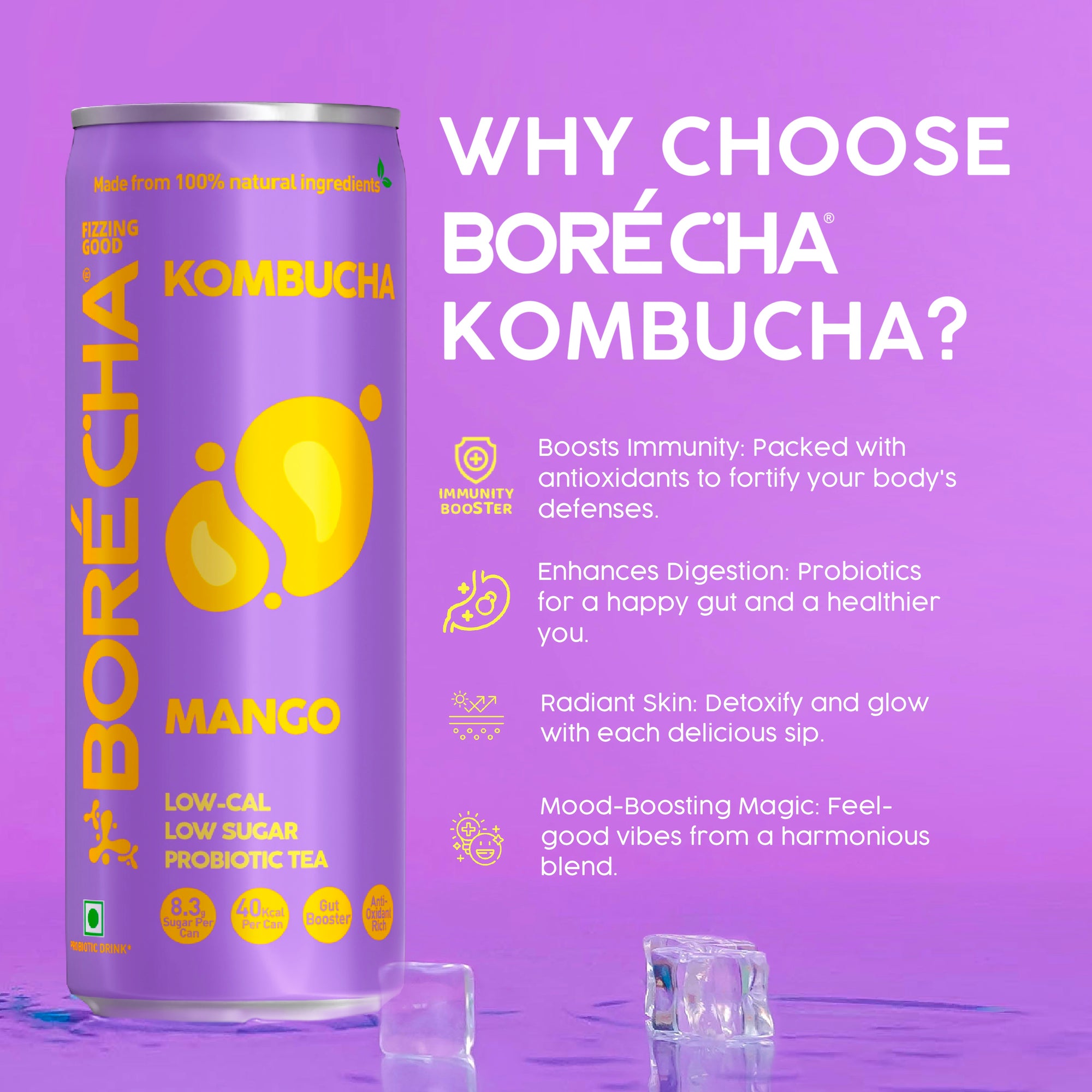Probiotic Kombucha Trial  Pack